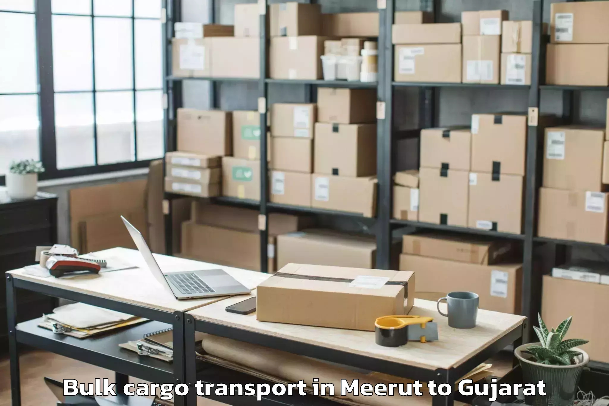 Professional Meerut to Baria Bulk Cargo Transport